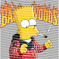 Cartoons and other-CO 301